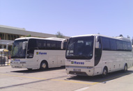 Muttaş Muğla Milas Bodrum Havalimanı otobüs